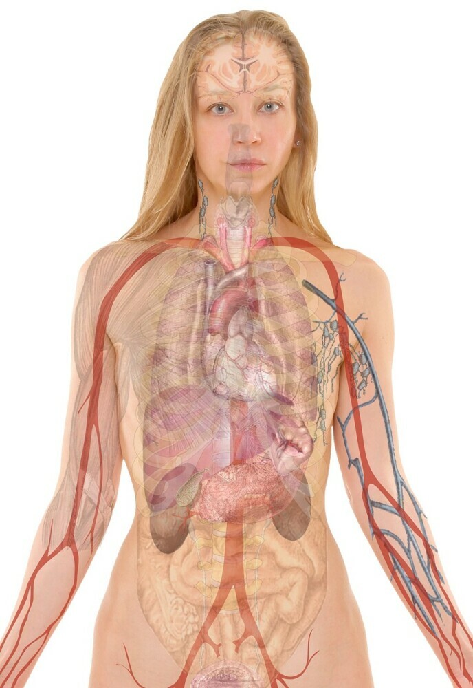 the connection between physical and mental health