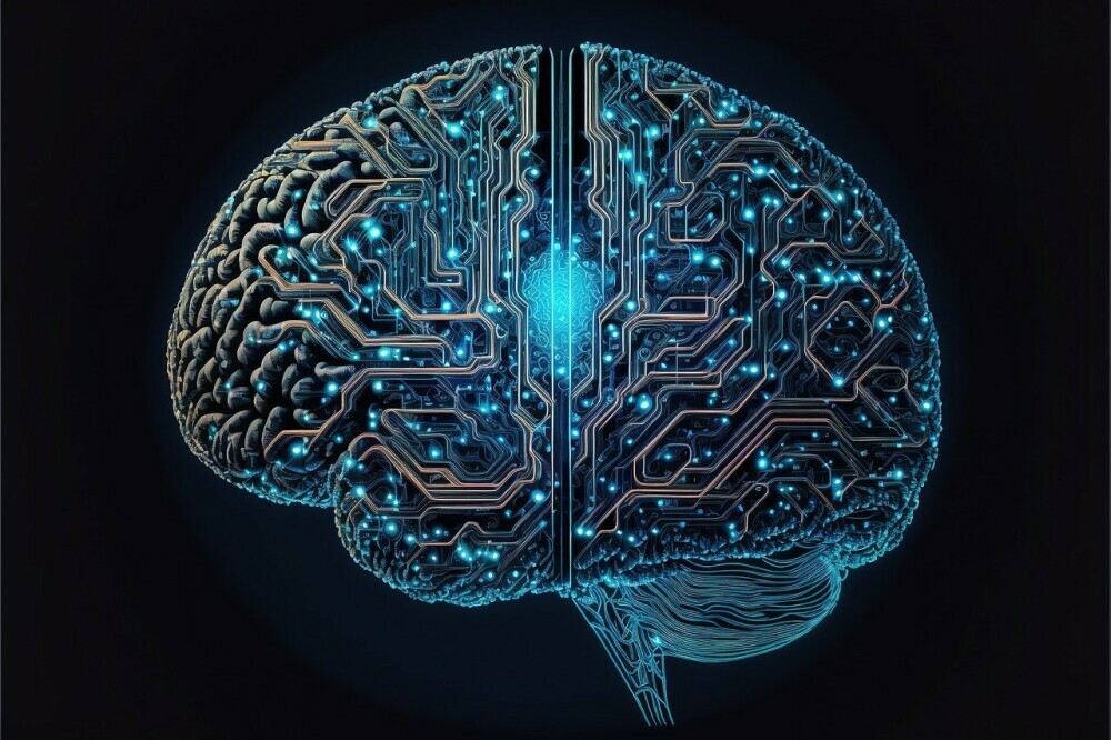 The Connection Between Gut Health and Wellness